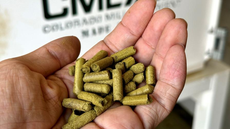 Hop pellets