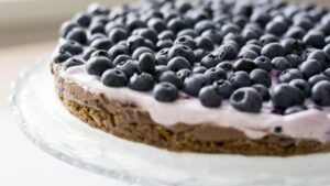 Blueberry Boost Accelerator Continues to Grow New Innovators in Food