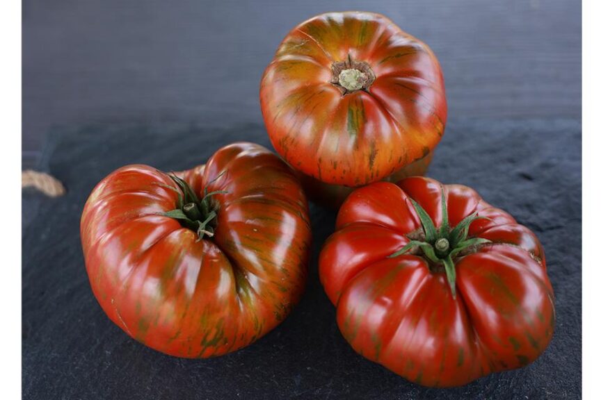 26 Tasty Tomato Varieties You Should Know and Grow Now - Growing