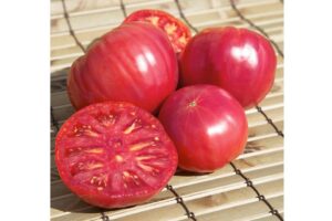 Brandywine Pink (Terra Organics)