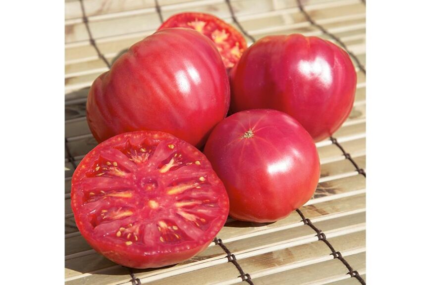 26 Tasty Tomato Varieties You Should Know and Grow Now - Growing