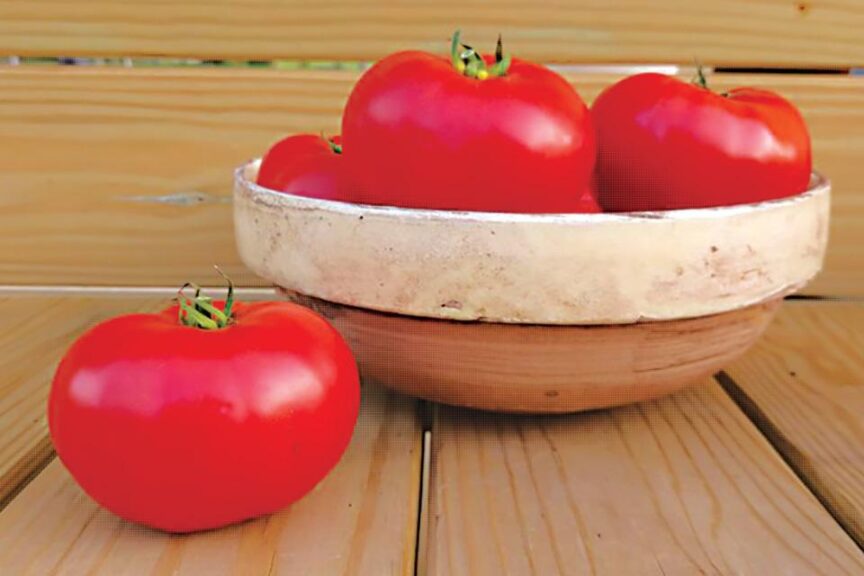 26 Tasty Tomato Varieties You Should Know and Grow Now - Growing