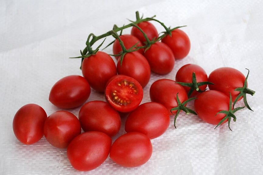 26 Tasty Tomato Varieties You Should Know and Grow Now - Growing