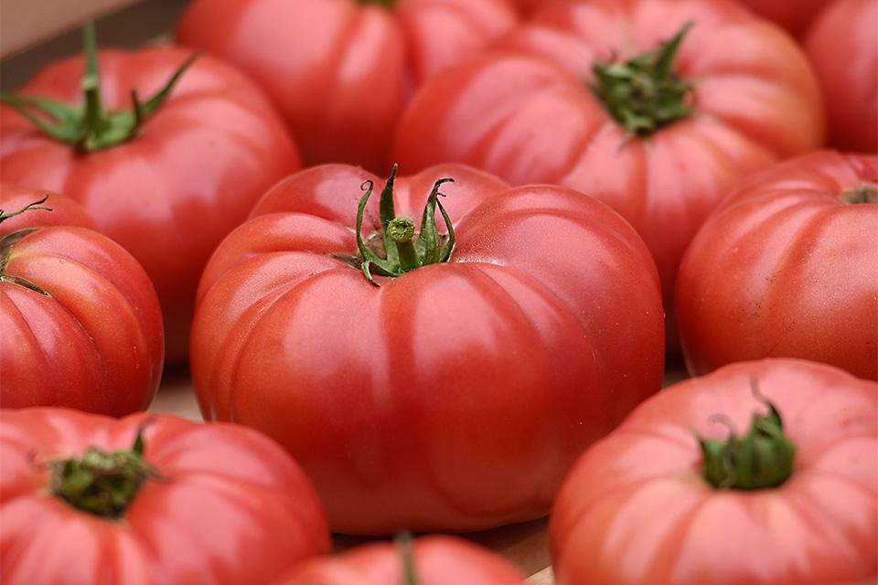 とまと ページ 26 Tasty Tomato Varieties You Should Know and Grow Now - Growing