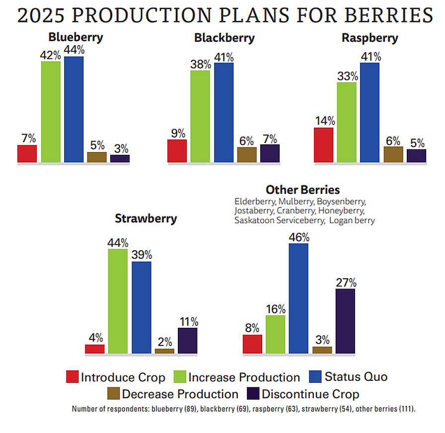 2025 AFG SOI berry production plans graphic