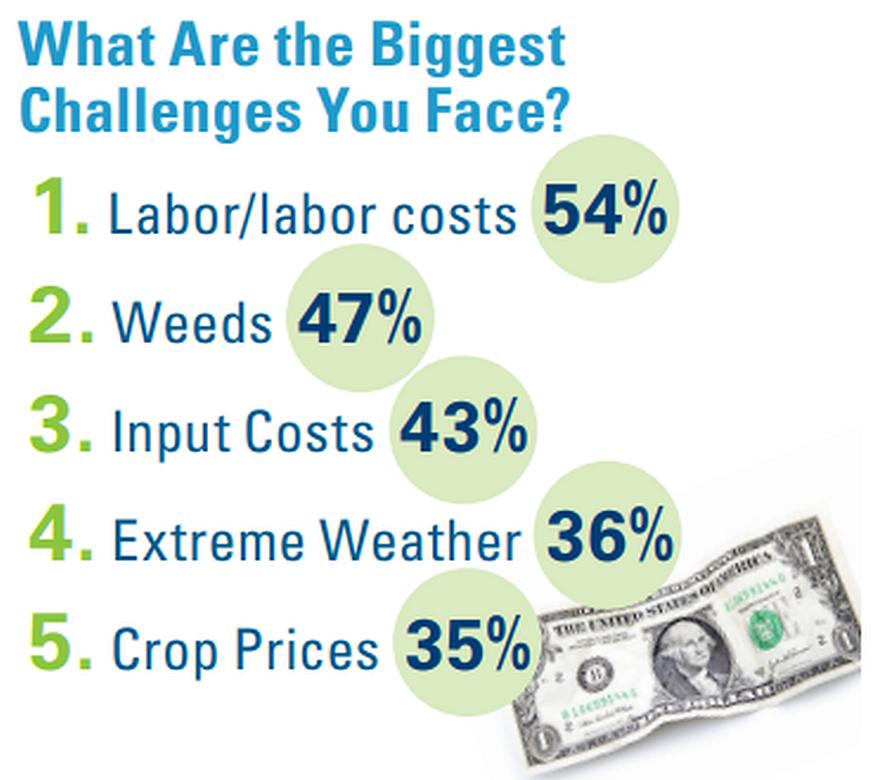 2025 State of the Vegetable Industry graphic on top farm management challenges