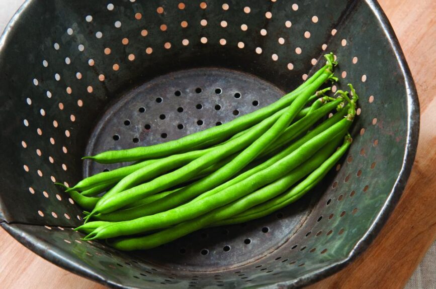 Jade (Johnny's Selected Seeds)