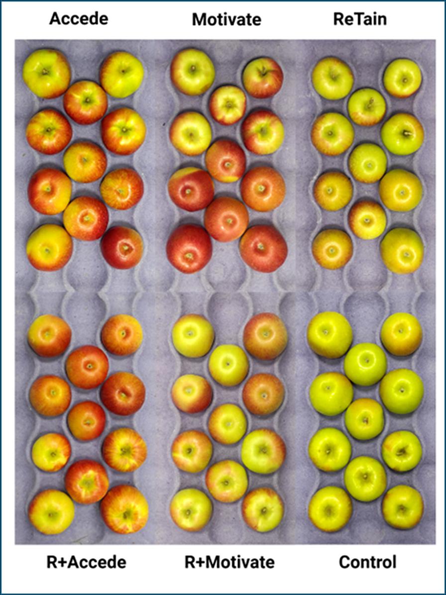 PGR trial comparisons with Honeycrisp apples