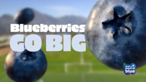 New Marketing Campaign Aims To ‘Go Big’ for Blueberry Growers