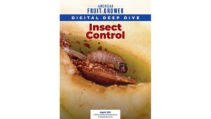 Aug. 2025 Digital Deep Dive report cover on Insect Control