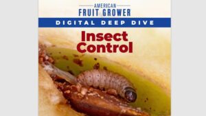 Digital Deep Dive: Your Resource for Insect Control Solutions