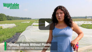 How Vegetable Growers Can Cut Down on Plastic Mulch Waste [Video]