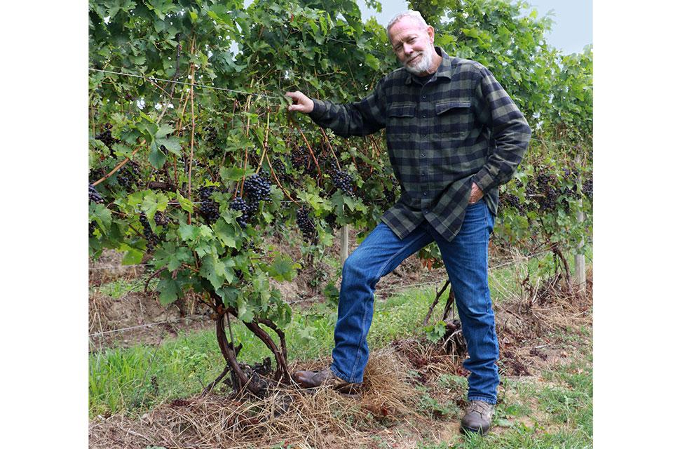 Gene Sigel by one of his grapevines