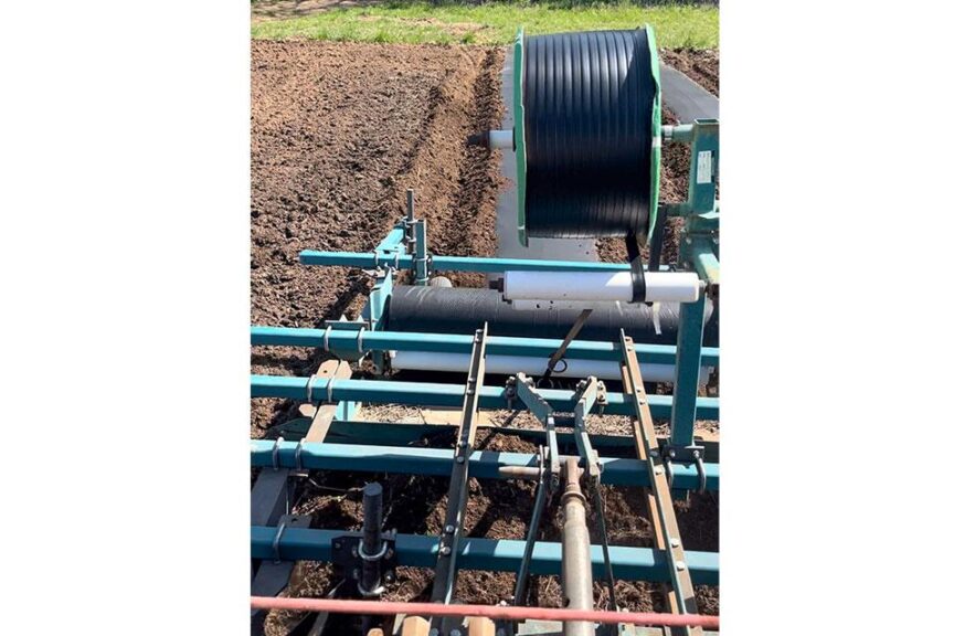 Mulch Layer