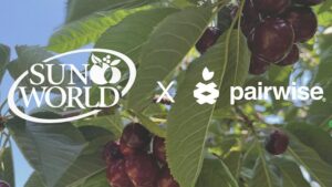 What a Pair! New Partnership To Develop a Pitless Cherry