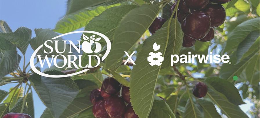 What a Pair! New Partnership To Develop a Pitless Cherry