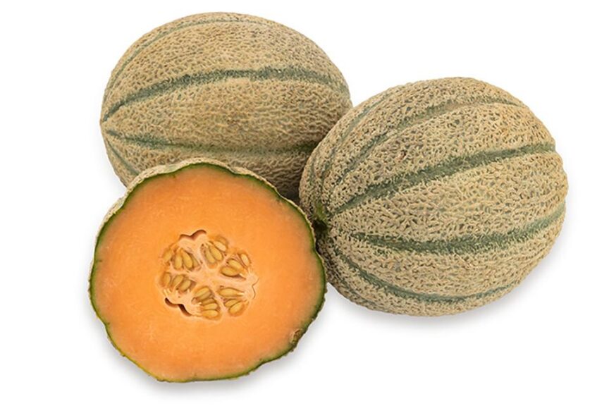 Arangina (Seminis Vegetable Seeds)