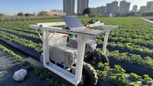 Strawberry Harvesting Robot Succeeds at Hide and Seek