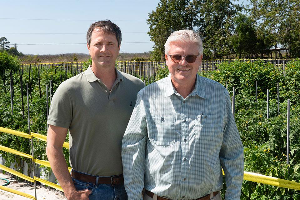Sam Hutton of UF/IFAS and Mark Barineau of Lipman collaborating on tomato crops.