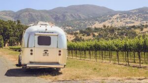 Ways These California Farms Grow Strong With Agritourism