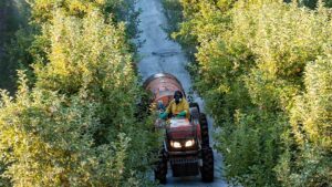 Adjuvants 101 for Fruit Growers – What You Need To Know