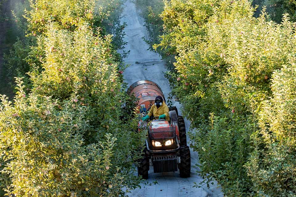 Adjuvants 101 for Fruit Growers – What You Need To Know