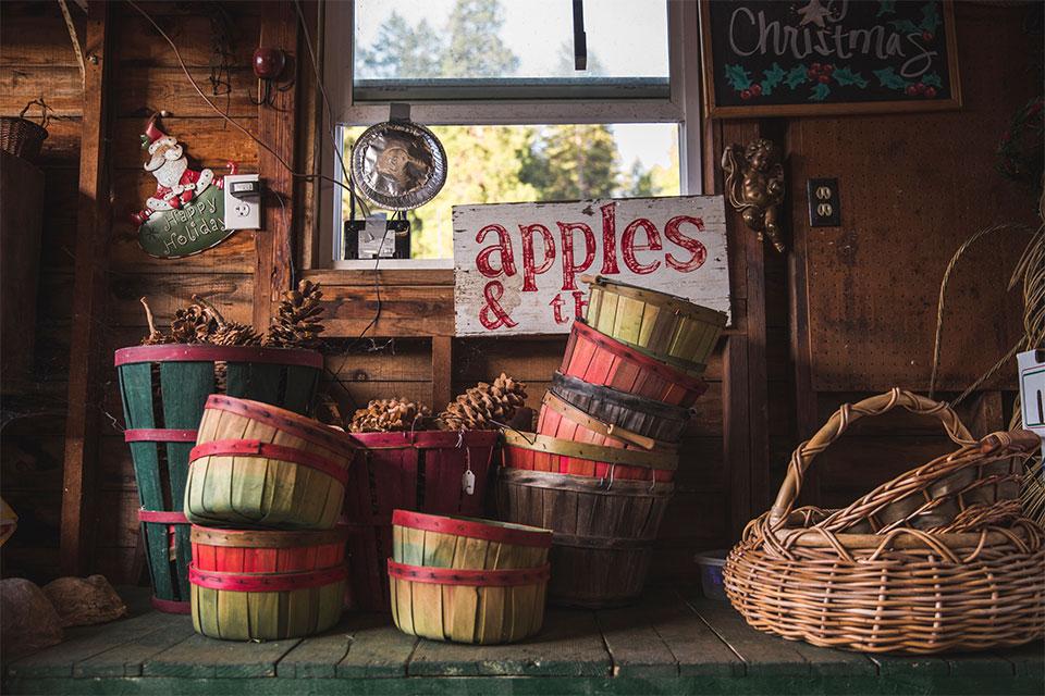 apple display at Harris Family Farm and Forest in California
