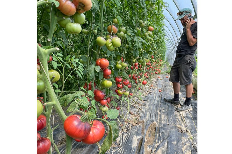 high tunnel setup at Red Fire Farm