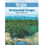 Digital Deep Dive on Protected Crops cover image