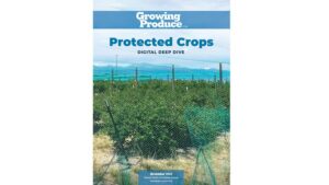 Digital Deep Dive: Your Inside Guide to Protected Crops
