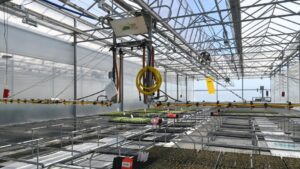 How Tri-Hishtil Plants Grow Stronger With the Right Tools