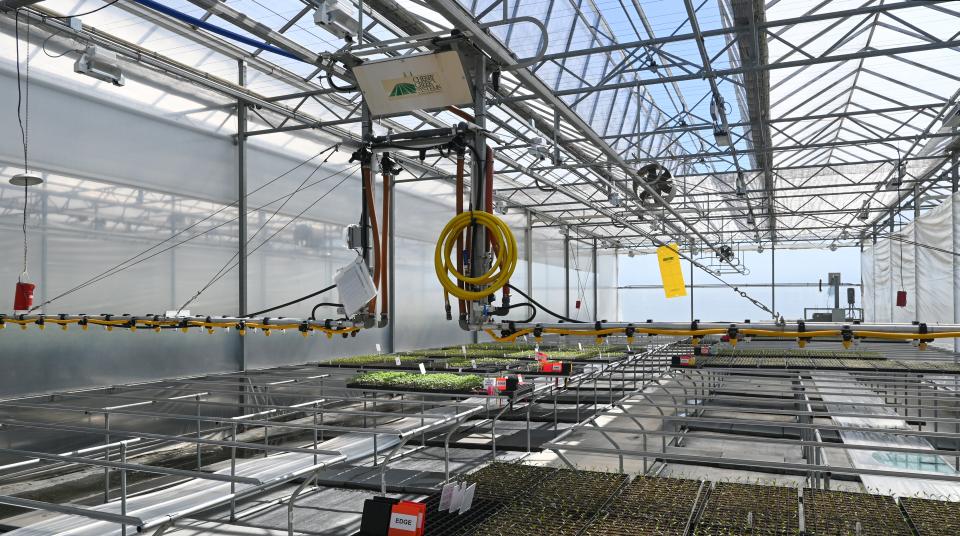 Cherry Creek boom irrigation at Tri-Hishtil