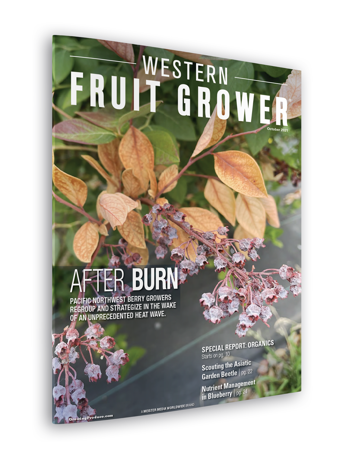 Western Fruit Grower Magazine
