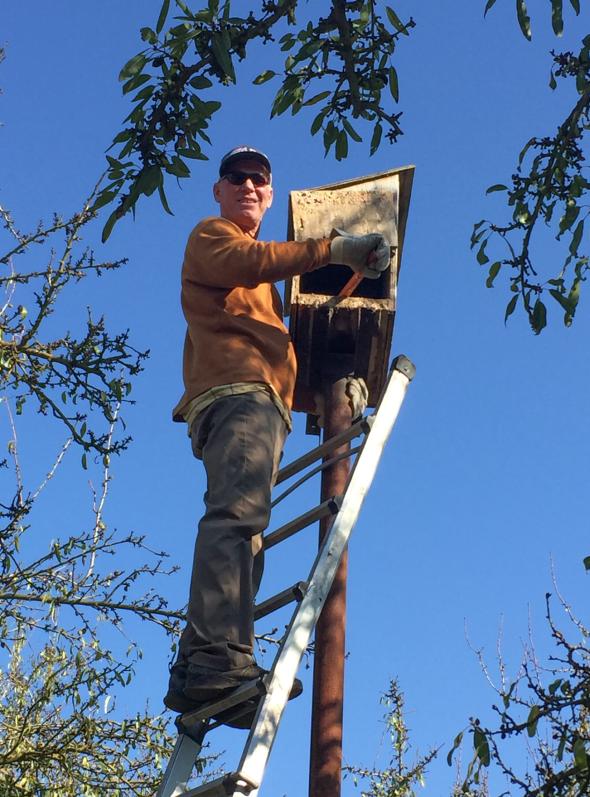 Owl box maintenance at Gemperle Farms