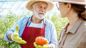 What Really Determines Transition Success on the Farm