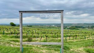 Inside Intel on the Hard-Working Wine of Austria
