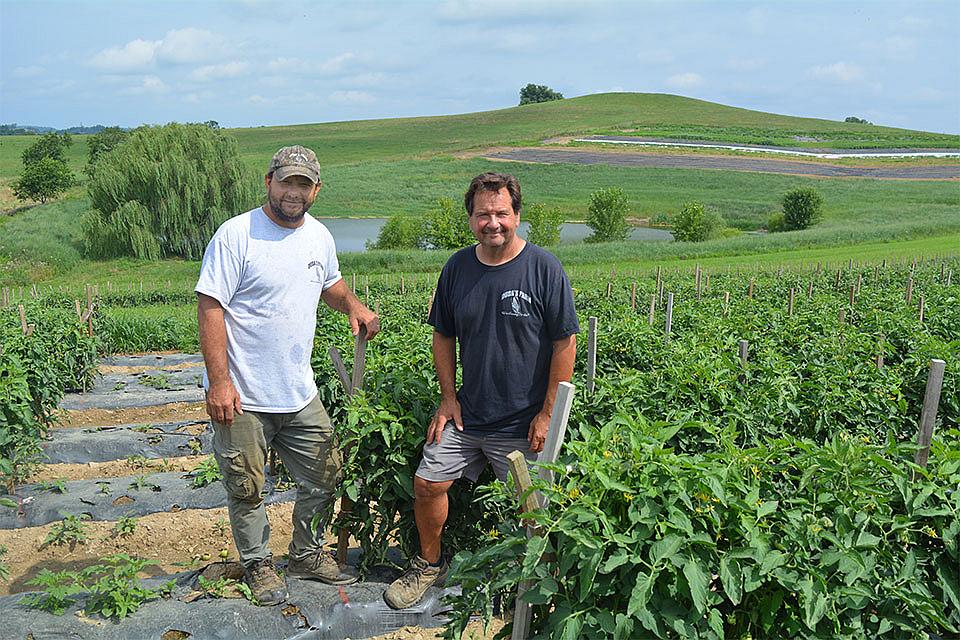Mark and Andrew Duda in vegetable field