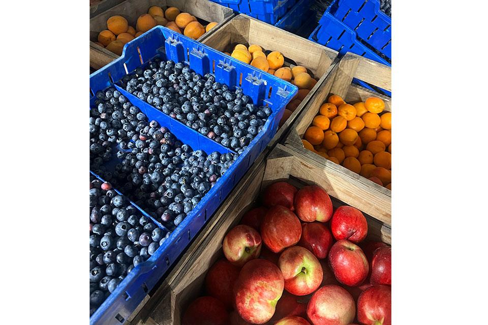 Fresh fruit at Duda's Farm