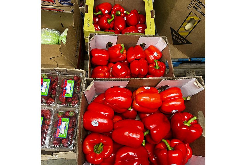 Duda's Farm peppers and other vegetables