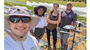 Tracking and Tackling Pest and Disease Pressure in Cucurbits