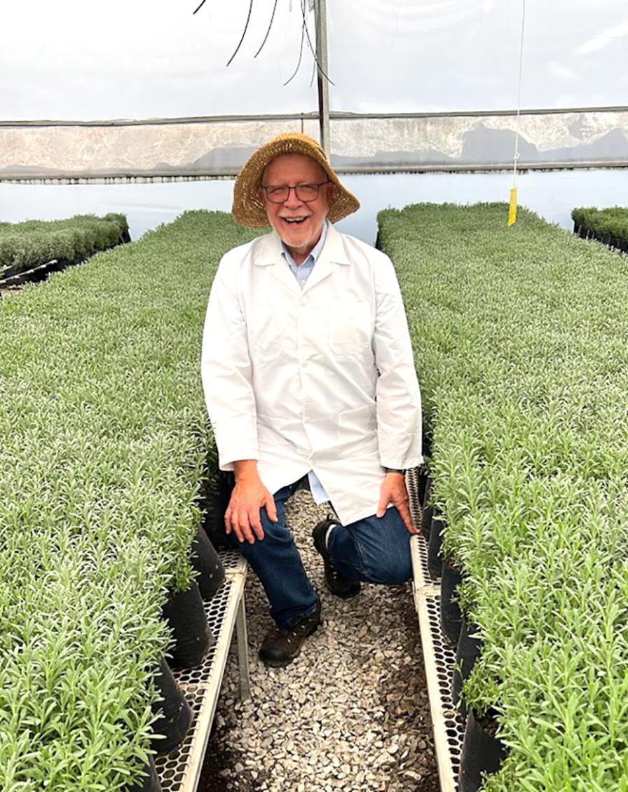 Rick Grazzini of Seeds by Design