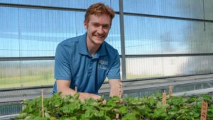 Why Scientists Put 5,000 Strawberries to the Taste Test