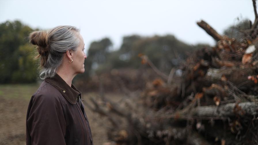 California Pear Farmers Under Heavy Pressure from Imports