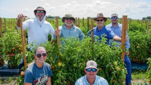 Vegetable Breeders Going the Extra Mile To Feed the World