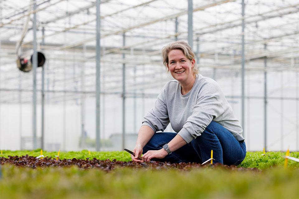 Carola Luijten of Rijk Zwaan