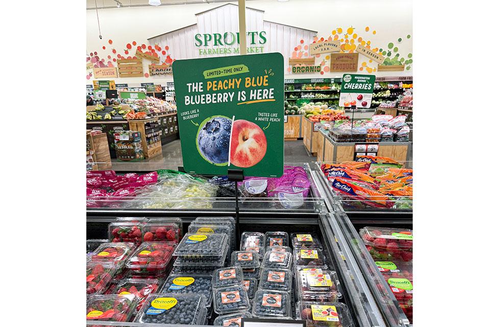 PeachyBlue berries on display at SPROUTS Farmers Markets