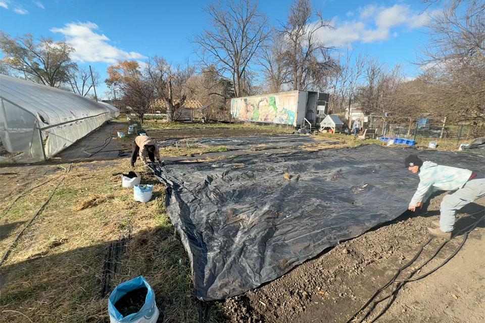 tarps in use at Asbury Farms in Michigan