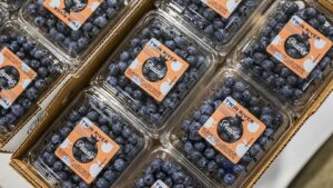 Specialty Berries: The Profitable Path From Breeder to Basket