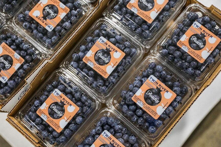 December: Specialty Berries: The Profitable Path From Breeder to Basket