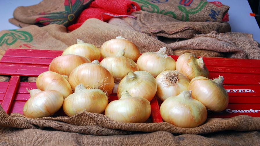 Check Out These 2 New Vidalia Onion Hybrids